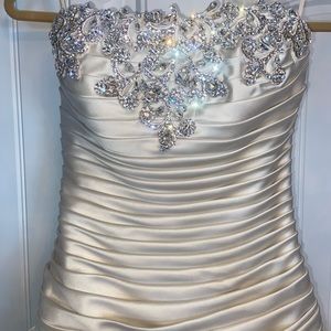 Pnina Tornai preserved Wedding gown